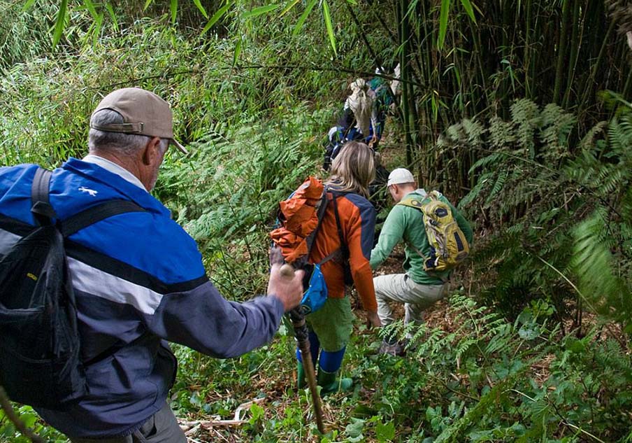 Gorilla Trekking Safaris Uganda