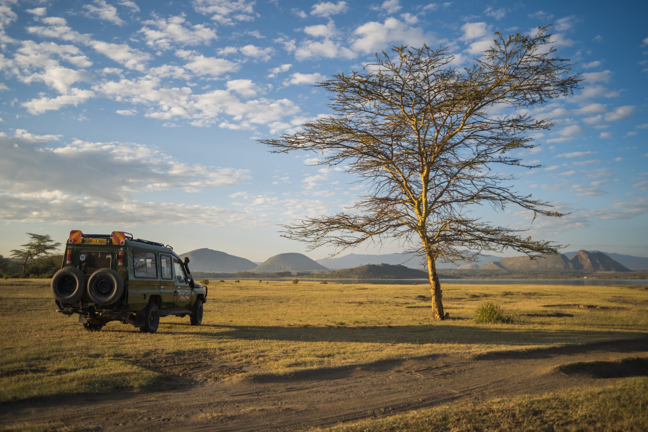 Tanzania Safaris