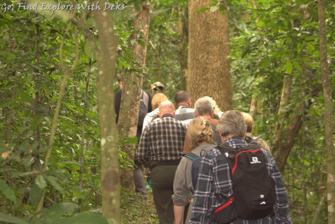 Uganda Primates Safari