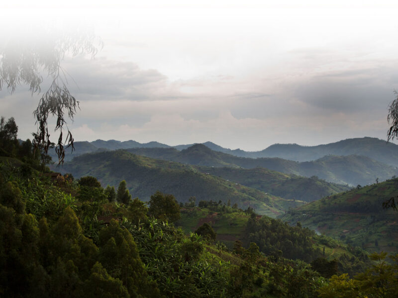 Mount Elgon Hiking Safari