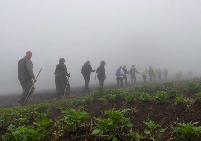 Mount Elgon Hiking Safari