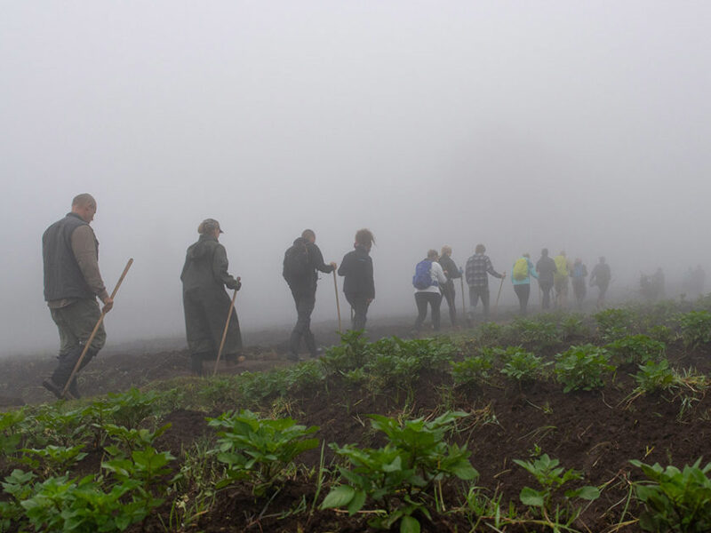 Mount Elgon Hiking Safari