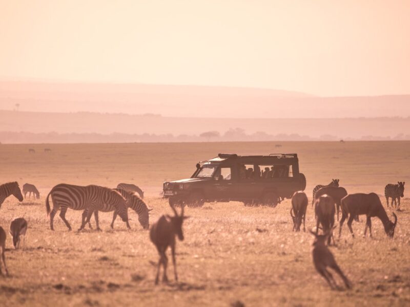 Samburu Wildlife Safari Kenya