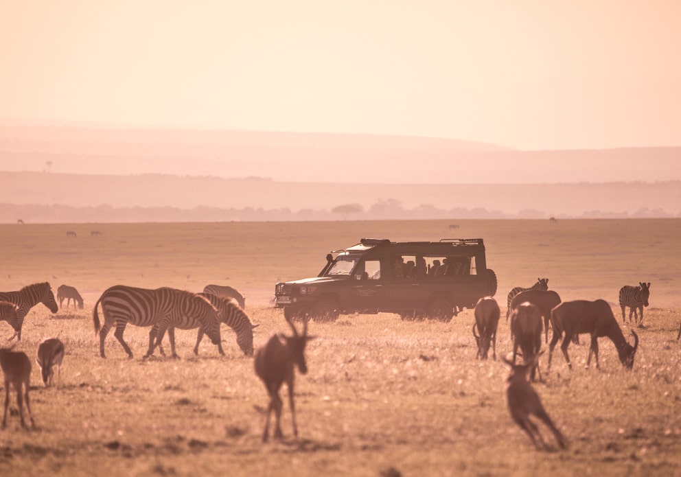 Samburu Wildlife Safari Kenya